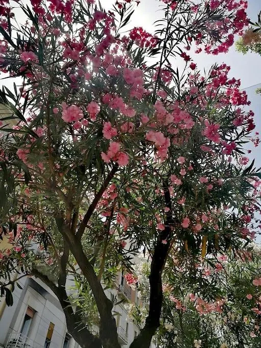 Appartement Bari Apartment